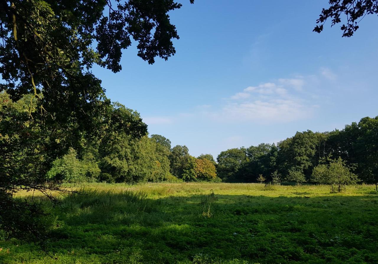 Wohlfuehloase Am Bad Zwischenahner Meer Exterior photo